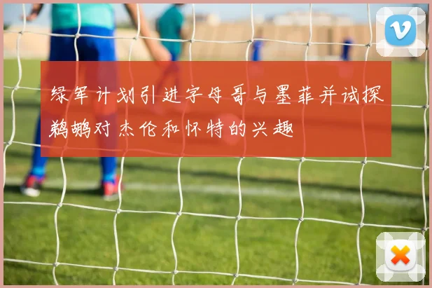 绿军计划引进字母哥与墨菲并试探鹈鹕对杰伦和怀特的兴趣