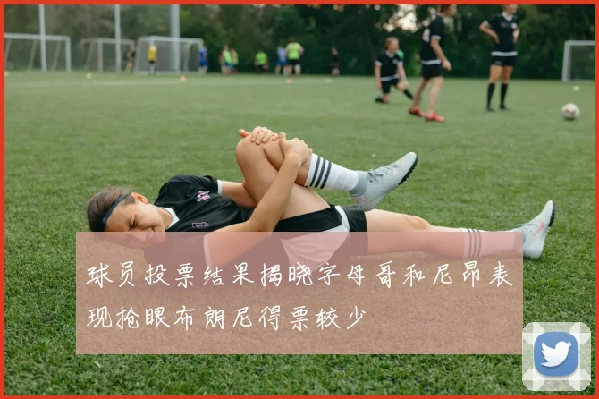 球员投票结果揭晓字母哥和尼昂表现抢眼布朗尼得票较少